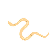 intestinal worm vector icon