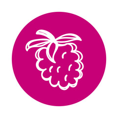 Raspberry. Fruit berry sketch. Pencil drawing illustration. Pen or marker color symbol. Round icon