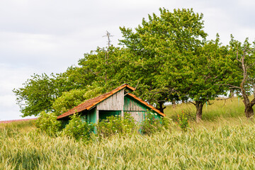Fototapete bei efototapeten.de bestellen   