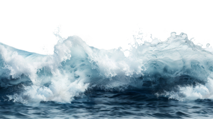 Sea, ocean wave on white background 