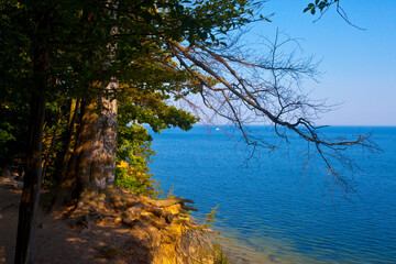 Osuwająca się skarpa, klif w Gdyni, Polska. Cliff in Gdynia, Poland © 123108 Aneta