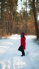 photographs with a young woman in the winter forest. girl in a snowy park. in a red jacket on the banks of a frozen river. winter walk in nature. Cold season. Beautiful girl, sunny day.