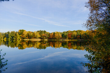 Herbstlandschaft im Park – Wald bei Sonnenschein
