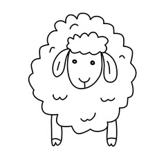 sheep line icon