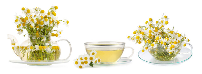 Delicious tea in dishware and beautiful chamomile flowers on white background, set