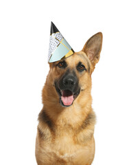 Cute German Shepherd dog with party hat on white background