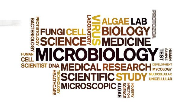 Microbiology animated word cloud;text design animation tag kinetic typography seamless loop.