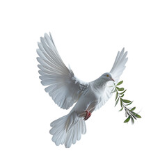White dove with an olive branch, symbolizing peace.