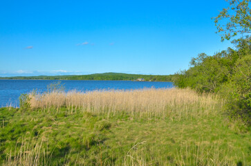 Luchegorsk reservoir in summer scenic view (Primorsky krai, Russia)