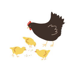 chicken and chicks. Hens and chickens. Silhouettes of farm or pet birds with linear elements. Objects for print design