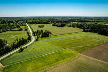 An aerial view showcasing lush green fields and dense forests under a clear blue sky. A winding road cuts through the landscape, connecting distant farmlands. Copy space in the sky area.