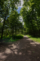 Obraz premium La Queue en Brie, France.