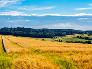 Agrarlandschaft im Frühjahr