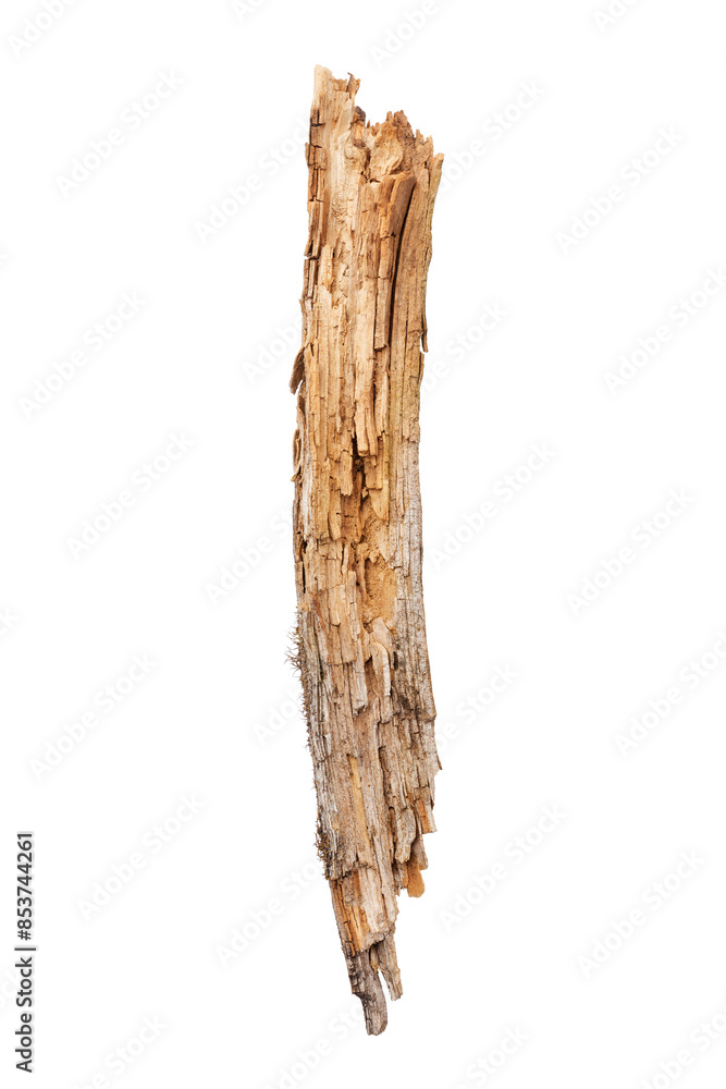 Sticker broken wooden stick isolated on white background