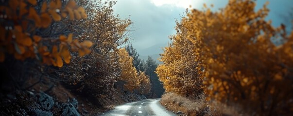 Serene autumn road with vibrant foliage and a misty atmosphere. Perfect for nature enthusiasts and scenic travel. Captivating fall colors.