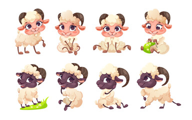 Cute cartoon baby goats in different poses, sitting and standing, on a white background. Vector illustration