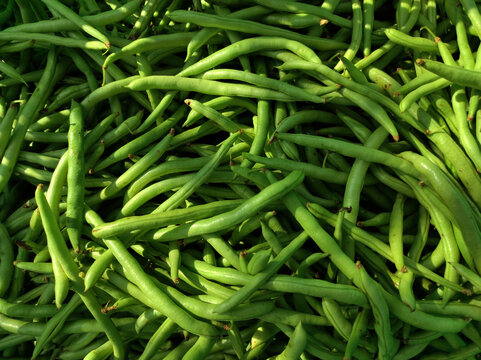 green beans on the ground