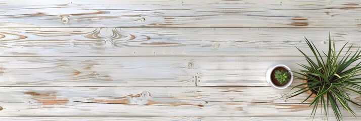 Fototapeta premium Two Plants on a Whitewashed Wooden Table