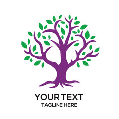 tree with leaves vector