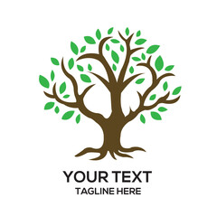 tree with leaves vector