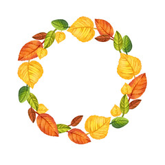 Obraz premium watercolor wreath of autumn forest leaves, hand drawn illustration of yellow and orange forest leaves, green and brown different leaves, sketch isolated on white background