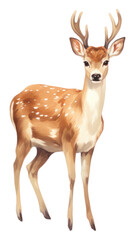 PNG A dear standing wildlife animal mammal.