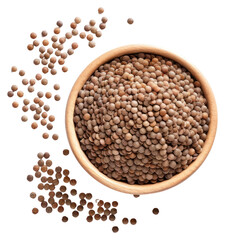 PNG Lentils seeds vegetable lentil plant.