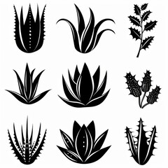 Aloe Vera Pot Plant Icon Set, Aloe Plant Black White Design, Abstract Aloe Symbol, Simple Pot Flowers Isolated