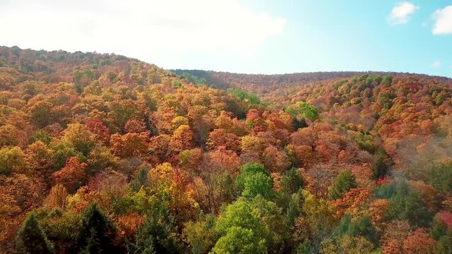 4K drone video autumn fall foliage season colorful leaves  changing and trees in the mountains and hills from above in Vermont and New England.