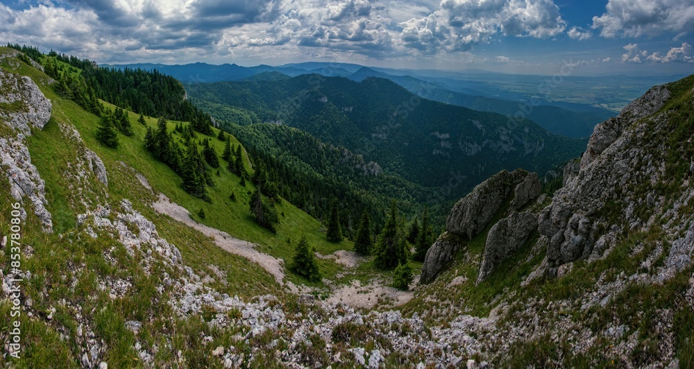 Wall mural Spring landscape with grassy meadows and the mountain peaks, blue sky with clouds in the background. The Tlsta peak area in Velka Fatra 