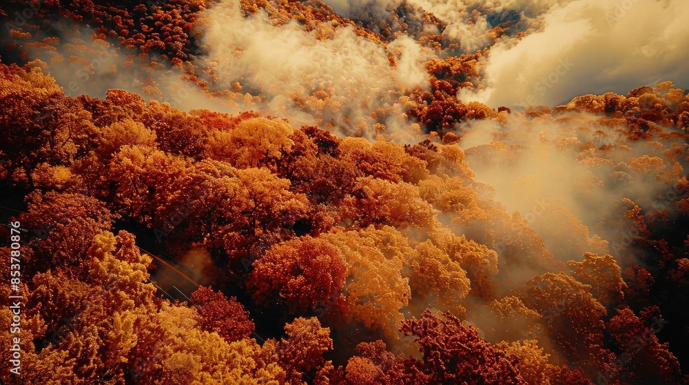 Poster Aerial view of a misty autumn forest with vibrant orange and red foliage, enveloped in clouds, creating a serene and enchanting landscape.