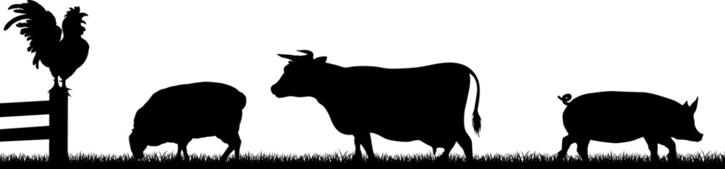 A farm animals scene with silhouettes of cow, chicken, sheep and pig in a grass field scene landscape