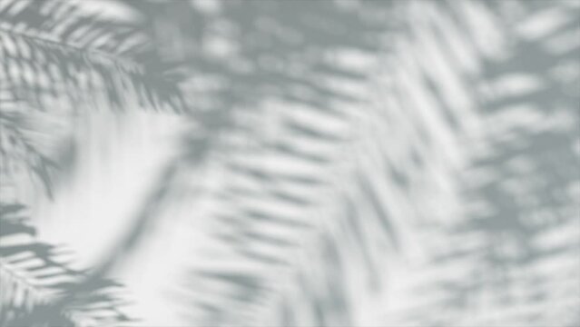 Transparent blurry shadow of palm tree leaves moving with copy space over white background. Abstract silhouette of Tropical leaves shadow