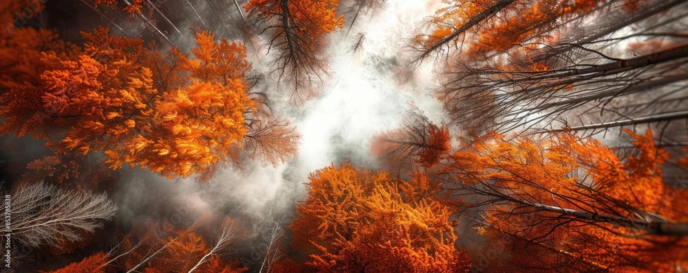 Aufkleber a stunning view of an autumn forest with vibrant orange foliage and a cloudy sky. the perspective cr