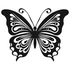 black and white butterfly, 