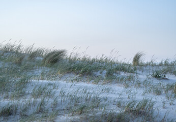 landscape of dunes on the North Sea in Germany