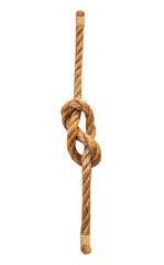 sailor's knot figure-eight knot  white, isolated.