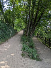 View of Montpellas park in Lyon's 9th district, near Barbe island, France