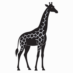 Obraz premium giraffe illustration