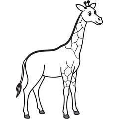giraffe vector illustration
