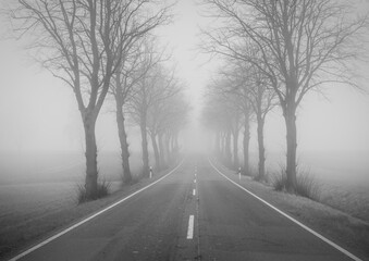 Fototapeta premium The motorway in a fog
