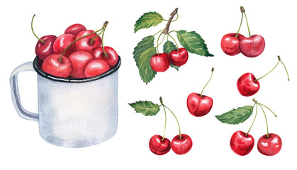 Watercolor cherry hand drawn illustration isolated.