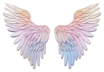 PNG Wings bird white background lightweight.