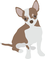 Chihuahua Dog Minimal Flat Vector Illustration