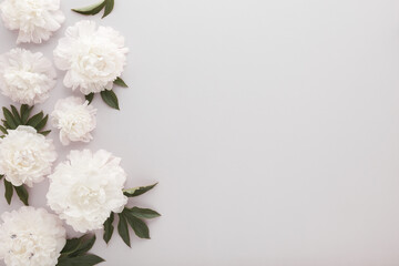 Fresh soft white peony flowers with leaves on light gray table background. Empty place for emotional, sentimental text, quote or sayings. Closeup. Top down view.