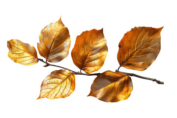 Fototapeta premium Abstract golden leaves isolated on transparent background.