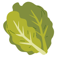 Cabbage vegetable vector illustration, cabbage flat icon design, cartoon kubis or kol clip art, gobis or kobis image, healthy green leafy vegetables
