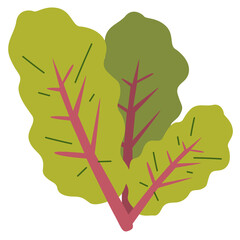 Obraz premium Chard vegetable flat icon design, fresh chard salad vegetable vector illustration, healthy green leafy vegetables