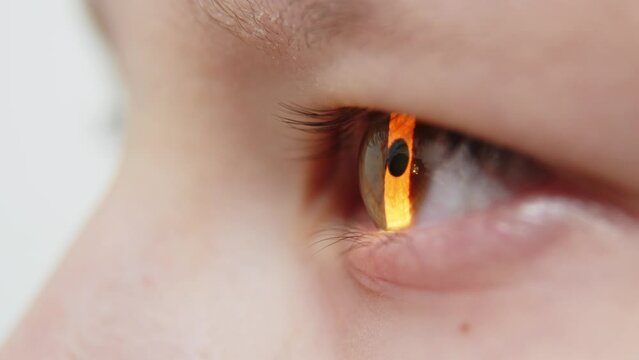 Examination of the child using a slit lamp. Microscope and focused light source. A device for high-precision examination of the eye to determine the condition of the lens.