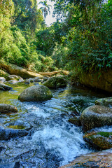 River crossing the tropical forest among the rocks and vegetation in Ilhabela